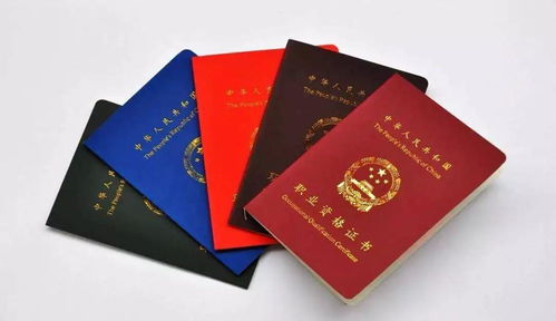 2020年小学教师学历要求与小学学历教育解析